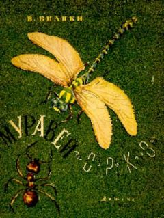 Обложка книги - Муравей и стрекоза. Почему муравьи в одиночку не ходят - Виталий Валентинович Бианки