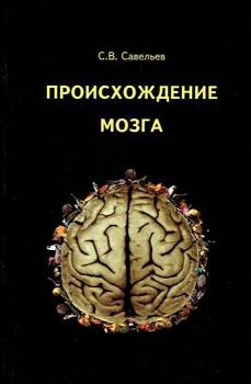 Обложка книги - Происхождение мозга - Сергей Вячеславович Савельев