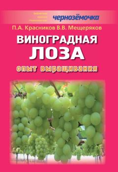 Книга - Виноградная лоза. Опыт выращивания. Петр Алексеевич Красников - читать в Литвек