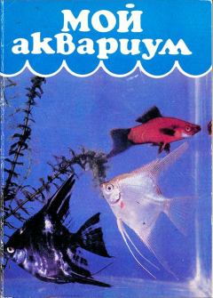 Обложка книги - Мой аквариум - Н Алфимова
