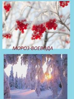 Обложка книги - Мороз Воевода (СИ) - Надежда Михайловна