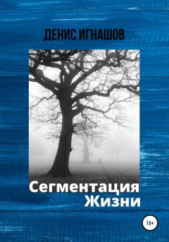 Обложка книги - Сегментация Жизни - Денис Игнашов