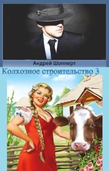 Книга - Колхозное строительство 3. Андрей Готлибович Шопперт - читать в ЛитВек