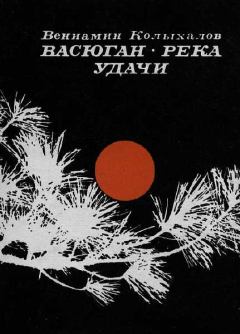 Книга - Васюган — река удачи. Вениамин Анисимович Колыхалов - читать в Литвек
