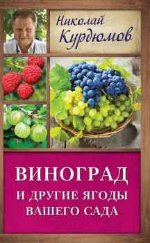 Обложка книги - Виноград и другие ягоды вашего сада - Николай Иванович Курдюмов