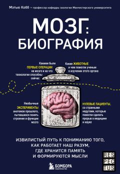 Обложка книги - Мозг: биография. Извилистый путь к пониманию того, как работает наш разум, где хранится память и формируются мысли - Мэтью Кобб