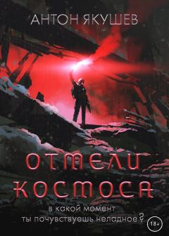 Обложка книги - Отмели космоса - Антон Якушев