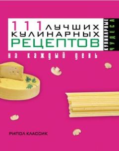 Книга - 111 лучших кулинарных рецептов на каждый день. Ирина Геннадьевна Константинова - читать в Литвек