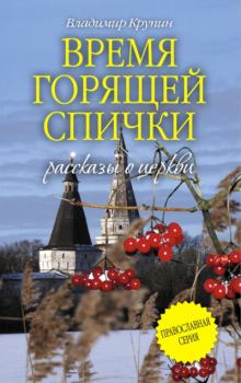 Обложка книги - Волчьи ягоды - Владимир Григорьевич Колычев