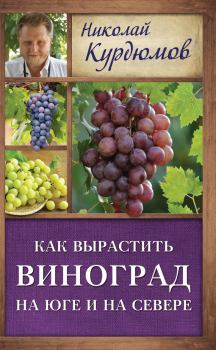 Обложка книги - Как вырастить виноград на Юге и на Севере - Николай Иванович Курдюмов