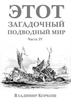 Книга - Этот загадочный подводный мир. Часть 4. Владимир Васильевич Коркош (Korkosh) - читать в Литвек