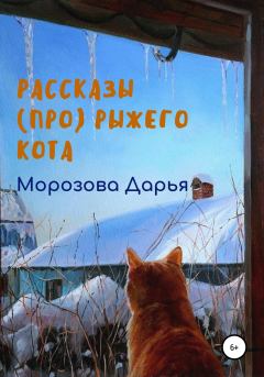 Обложка книги - Рассказы (про) рыжего кота - Дарья Вячеславовна Морозова
