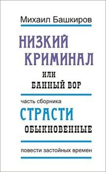 Книга - Банный вор. Михаил Викторович Башкиров - читать в Литвек