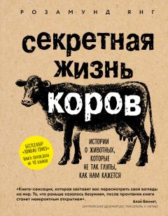 Обложка книги - Секретная жизнь коров. Истории о животных, которые не так глупы, как нам кажется - Розамунд Янг