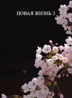 Обложка книги - Новая жизнь 3 - Виталий Хонихоев