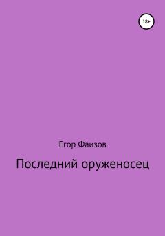 Книга - Последний оруженосец. Егор Сергеевич Фаизов - прочитать в Литвек