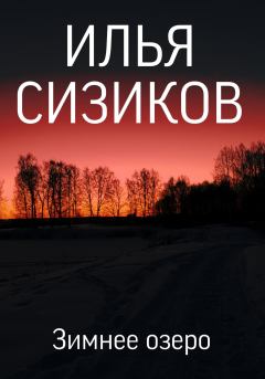Книга - Зимнее озеро. Илья Валерьевич Сизиков - читать в Литвек