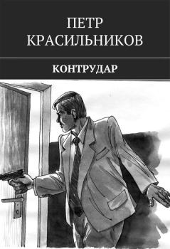 Книга - Контрудар. Петр Красильников - читать в Литвек