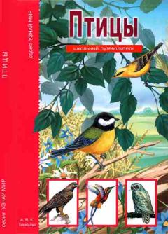 Обложка книги - Птицы - А Бугаев