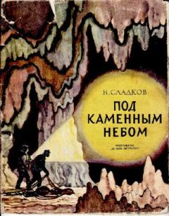 Книга - Под каменным небом. Николай Иванович Сладков - читать в Литвек