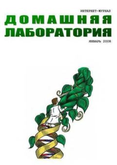 Обложка книги - Интернет-журнал "Домашняя лаборатория", 2008 №1 -   (Журнал «Домашняя лаборатория»)