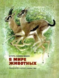 Обложка книги - В мире животных - Игорь Иванович Акимушкин