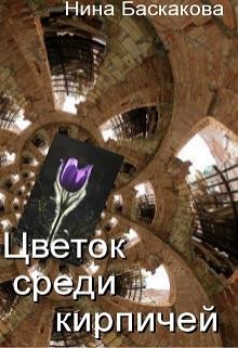 Обложка книги - Цветок среди кирпичей - Нина Баскакова