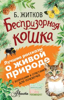 Книга - Беспризорная кошка. Борис Степанович Житков - читать в ЛитВек