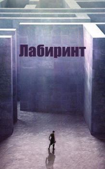 Обложка книги - Лабиринт - Евгений Семенко