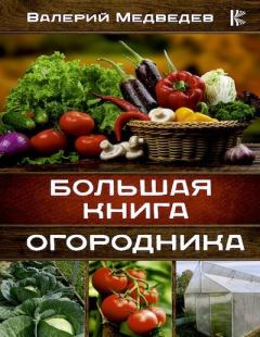 Обложка книги - Большая книга огородника - Валерий Сергеевич Медведев
