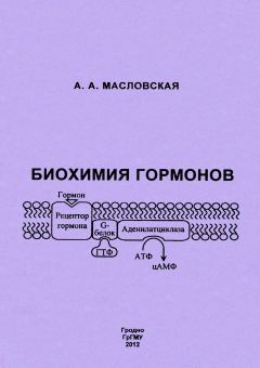 Книга - Биохимия гормонов. Алла Анатольевна Масловская - читать в ЛитВек