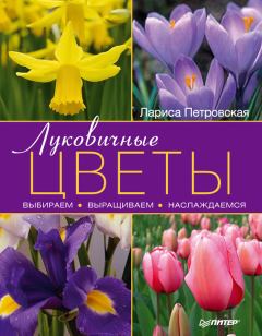 Книга - Луковичные цветы: выбираем, выращиваем, наслаждаемся. Лариса Георгиевна Петровская - читать в ЛитВек