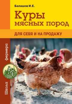 Обложка книги - Куры мясных пород - Иван Евгеньевич Балашов