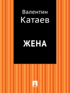 Книга - Жена. Валентин Петрович Катаев - прочитать в Литвек