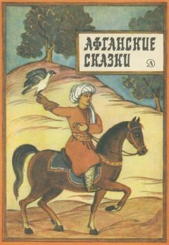 Книга - Афганские сказки. Автор неизвестен -- Эпосы, мифы, легенды и сказания - читать в ЛитВек