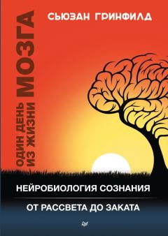 Обложка книги - Один день из жизни мозга. Нейробиология сознания от рассвета до заката - Сьюзан Гринфилд