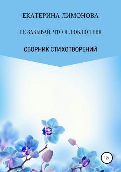 Обложка книги - Не забывай, что я люблю тебя - Екатерина Лимонова