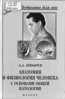 Обложка книги - Анатомия и физиология человека с основами общей патологии - А. А. Швырев