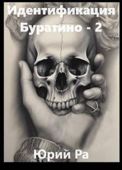 Обложка книги - Идентификация Буратино 2 - Юрий Ра