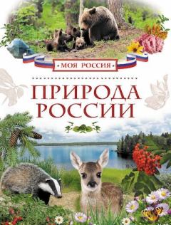 Обложка книги - Природа России - Наталья Витальевна Мокиевская