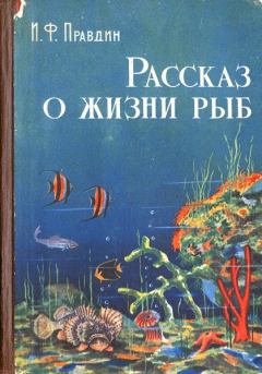 Книга - Рассказ о жизни рыб. Иван Федорович Правдин - читать в Литвек
