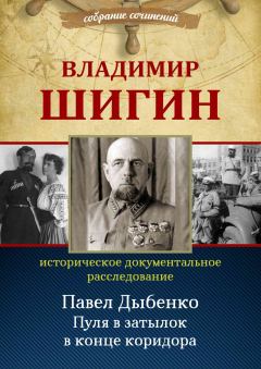 Книга - Павел Дыбенко. Владимир Виленович Шигин - читать в Литвек
