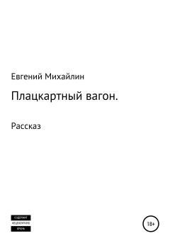 Книга - Плацкартный вагон. Евгений Алексеевич Михайлин - читать в Литвек