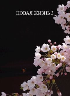 Обложка книги - Новая жизнь 3 (СИ) - Виталий Хонихоев
