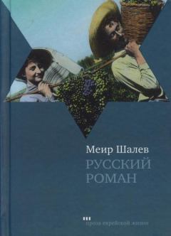 Книга - Русский роман. Меир Шалев - читать в ЛитВек