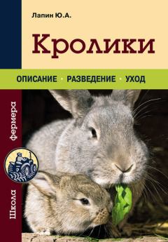 Обложка книги - Кролики - Юрий Лапин