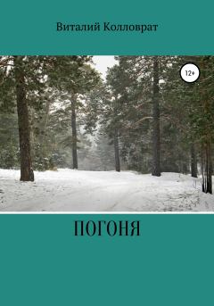 Обложка книги - Погоня - Виталий Колловрат