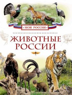 Обложка книги - Животные России - Ирина Владимировна Травина