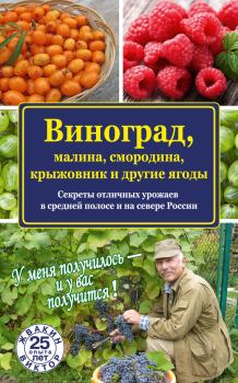 Обложка книги - Виноград, малина, смородина, крыжовник и другие ягоды - Виктор Жвакин