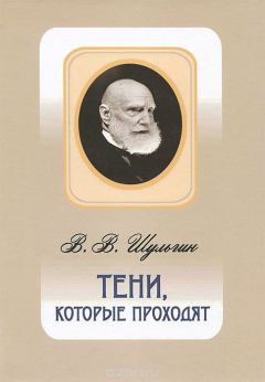Обложка книги - Тени, которые проходят - Василий Витальевич Шульгин